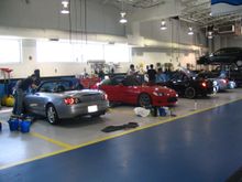 IMG_0429.jpg