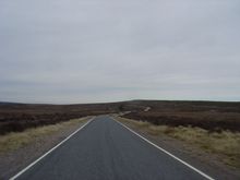 DSC00088.jpg