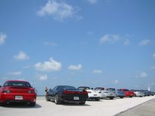 Tarpon 016.jpg