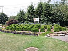 rt26-18.jpg