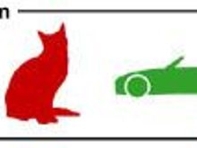 topdownpussy.jpg