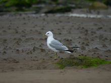 image051.jpg