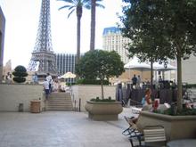 IMG_7167.jpg