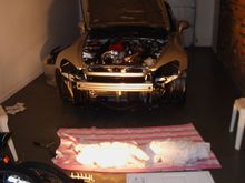 Clear Lights.JPG