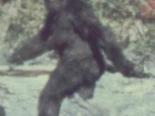 bigfoot1.JPG