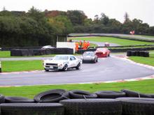 IMG_4350 (Medium).JPG