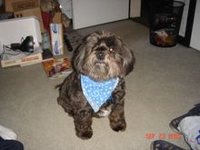DSC00026.JPG
