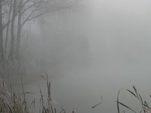 IMG_0032.jpg