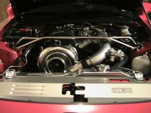 IMG_0154.JPG