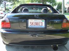 My plates