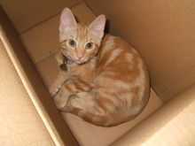 DSCF0556.JPG