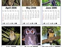 Hooters2006.jpg