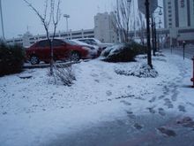 77a01751.jpg