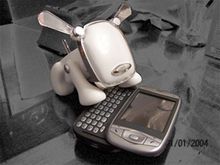 idog.jpg