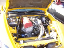 DSC00973.JPG