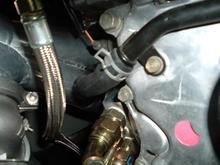DSCF0556.JPG