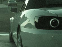 Picture 030.jpg