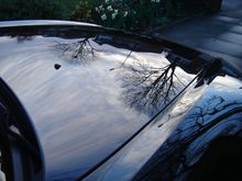 Bonnet Reflection - 800x600.JPG