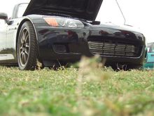 Picture 010.jpg