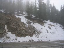 4-23-06 angeles crest 014.jpg
