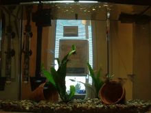 fish05.jpg