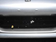 June 2006 0431.JPG