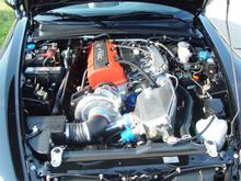 DSC08875 (Medium).JPG