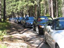 IMG_9231.jpg
