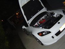 PSS9sBBK 028.jpg