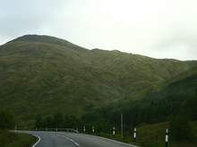 IMG_2905.jpg