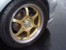 DSC05559.jpg