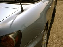 DSC00325.JPG