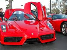 061014 Enzo 1791.JPG