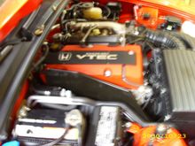 DSCI0041.JPG