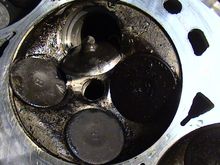 DSC00376-1.JPG