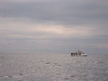 IMG_5006.jpg