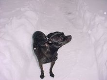 Dsc00584.jpg