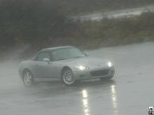 DSC_3427.JPG