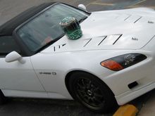 IMG_0168.jpg