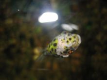 IMG_6919.jpg