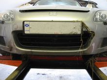front no plate 2.jpg