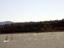 WIND SURFERS 1.jpg