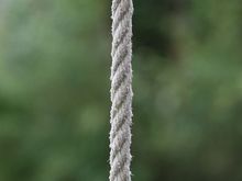 IMG_1751.JPG