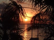 DSCF1038.JPG