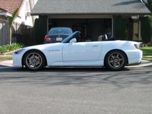 IMG_5955.JPG