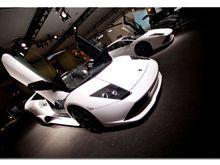 lambo4.jpg