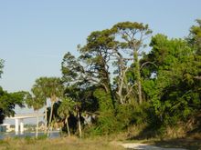 DSC06125.JPG