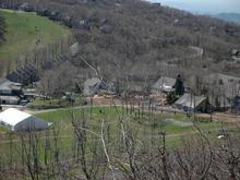 Wintergreen