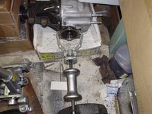 DSC00066.JPG