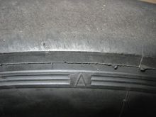 IMG_5618.jpg
